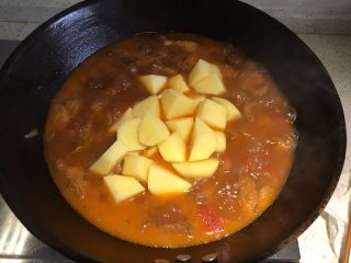 10、家常必备|土豆炖牛肉,倒入去皮切块的土豆