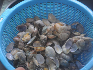 3、炒花蛤,在流水下一个一个地将花蛤内外洗干净