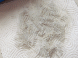 3、茶香虾,将茶汤过滤出来备用。茶叶用厨房用纸吸干水份备用。