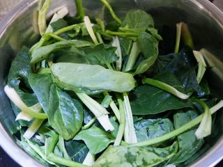 2、原汁原味羊肉卷菠菜汤,菠菜摘去根部,洗净备用。