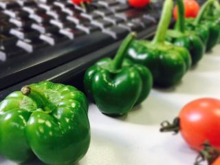 13、小灯笼椒塞肉,小灯笼椒未牺牲前模样。