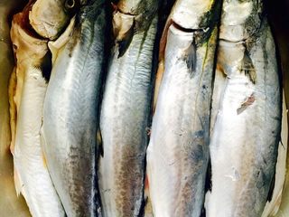 3、鲅鱼饺子,鲅鱼洗净备用