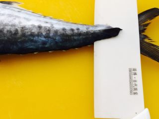 4、鲅鱼饺子,从鱼尾开始片鱼肉