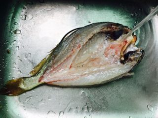 3、广式清蒸黄鱼,将鱼鳞刮干净，从鱼背部剥开掏出内脏、鱼鳃并清洗干净
