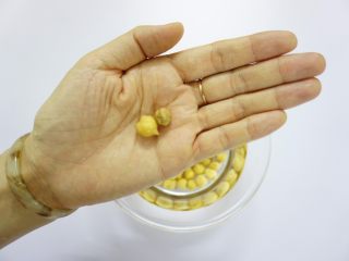 2、鹰嘴豆焖鸡翅,鹰嘴豆泡发至两倍大，或提前泡过夜也可以。