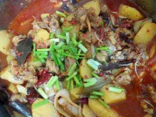 5、自制【火锅鸡】,煮熟后撒上葱花就可以吃了。