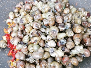 7、麻辣田螺,倒入田螺