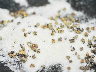 6、烤鱼,炒到盐的颜色发黄，就可以。