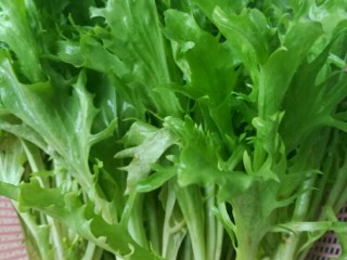 1、凉拌苦菊,这是我种在屋顶上很嫩的小苦菊。