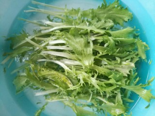 2、凉拌苦菊,苦菊择洗干净。
