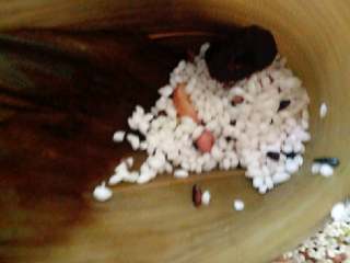 6、八宝粽子,把粽叶折成一个漏斗形状，放入一点和好的糯米，把葡萄干、猕猴桃干、蜜枣放中间，上面再盖上和好的糯米