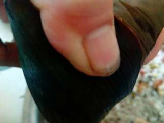 7、八宝粽子,把粽子包成三角形状