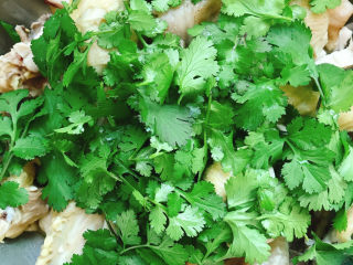 5、麻辣鸡块,香菜撒在鸡肉上