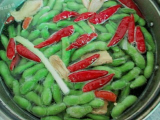 10、水煮毛豆,开盖煮5-10分钟,这样煮出来的毛豆,碧绿清脆,鲜中带甜