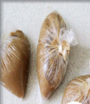 5、栗子泥,分装在几个保鲜袋中，放入冰箱冷冻起来