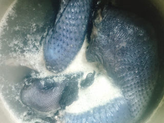 5、胡萝卜炖乌鸡汤,烧开后焯水3分钟