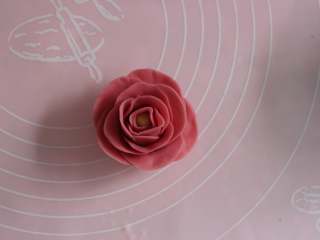 11、桃山玫瑰,一层一层包起来，外边的要包稍微舒展一点