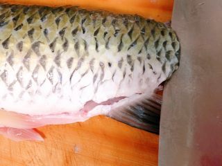 3、酸菜鱼,把鱼尾巴剁了,从尾巴那下刀,往上片把鱼肉跟骨头分开