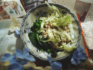 14、营养都在这一碗 糙米减肥沙拉,加入生菜丝