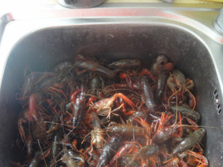 1、湖南麻辣小龙虾,小龙虾