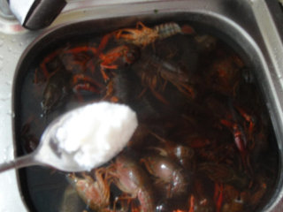 3、湖南麻辣小龙虾,再反复清洗至水清撤不浑浊后再加入清水能浸没龙虾加入盐静养15分钟后洗净捞起