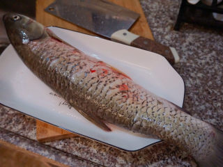 1、红烧草鱼,准备好一条草鱼????