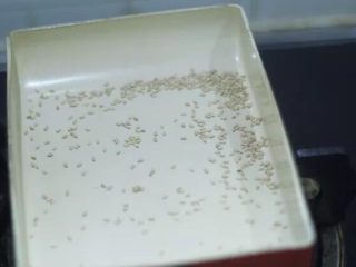 6、葱油拌面 简单最好味,小火把芝麻炒熟到闻到香气就好。