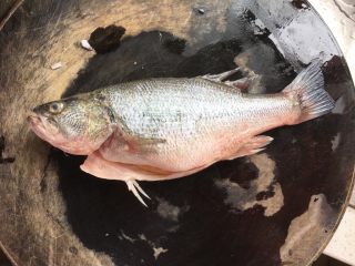 1、清蒸鲈鱼,鲈鱼清洗干净