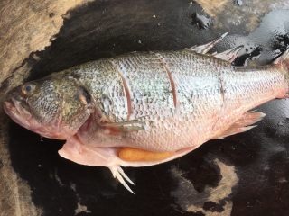 2、清蒸鲈鱼,划几刀