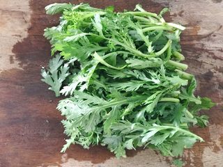 17、吃豆腐～豆子与豆腐的碰撞,春菊（蓬蒿菜）切成3寸左右的段（这里没有规定，您可以随意），