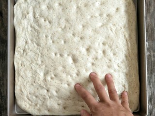 6、混合香草佛卡夏,松弛后利用手指按压面团表面