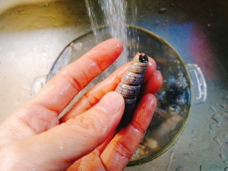 1、清明的应景佐酒小菜--香辣钉螺,将釘螺后面用钳子弄掉一小截