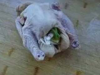 2、肥嫩鲜美白斩鸡,三黄鸡洗净，将部分葱、姜塞入鸡肚内。