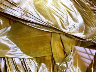 2、紫薯水晶粽,粽叶用开水泡软,每片刷洗干净。