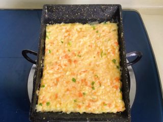 15、黄金米饭饼,如图摊开，尽量铺均匀