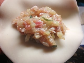 13、西瓜皮饺子,饺子皮包好