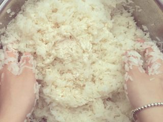 6、米酒????????酒糟,把咱们的安琪甜酒曲撕开后倒一半进去用你们可爱的双手去抓匀（记得洗干净双手哟，我们是爱干净的朋友）。因为一小包甜酒曲可以用五斤米，我们用的是2斤左右，用半包就好，但要记得甜酒曲可以多但不可以少噢。