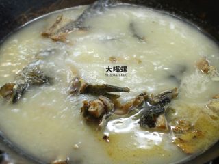 8、特色螺蛳斑鱼锅丨大嘴螺,中火熬煮15分钟,煮至鱼汤变成米白色(斑鱼营养丰富,富含各种有益物质)