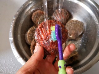 4、蒜蓉粉丝蒸扇贝,扇贝用刷子刷净。