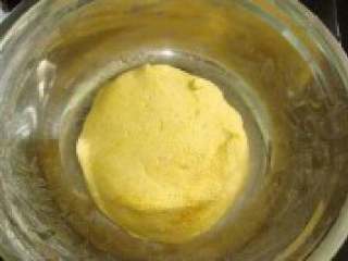 5、彩色汤圆,将加热的南瓜泥,与200G糯米粉混合一起,揉成不粘手的面团。