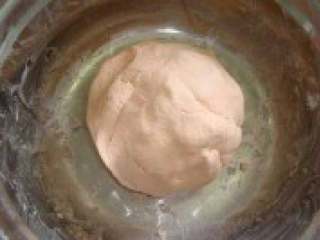 6、彩色汤圆,将加热的红萝卜汁,与200G的糯米粉混合一起,揉成不粘成的面团。