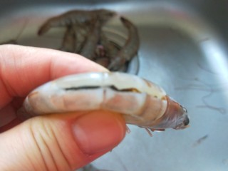 3、麻辣干锅虾,去须子去虾线。