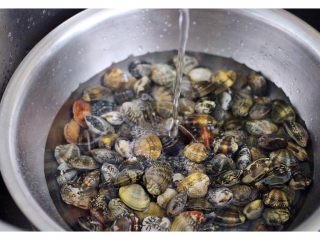 2、风味花蛤,买回家的花蛤用清水洗净、我们这里的卖家卖的花蛤已经都吐好泥沙了、回家洗净就可以备用了