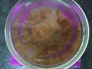 6、滋润养颜雪耳桂圆桃胶糖水,再用开水泡发4小时