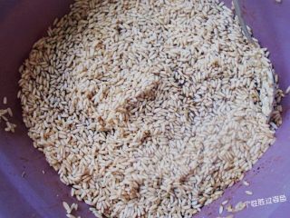 5、烤肉味粽子,把水倒出 ，倒入适量生抽，白砂糖，盐，和第3步中腌肉的卤汁，浸泡半小时