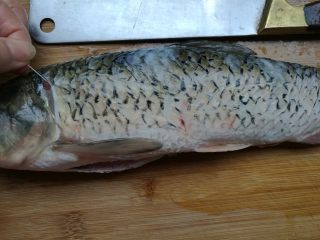 3、这样做鱼好吃入味不腥气~,从靠近头部斜切一刀，抽去腥线，两面都有。