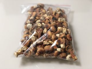 1、冬日滋补汤|姬松茸炖乌鸡,这个就是干的姬松茸啦~