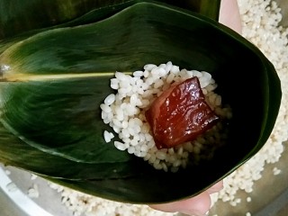 8、鲜肉粽子,取两张泡好的粽叶，毛面相贴（用手能摸出来，一面光滑，一面微涩即为毛面），在叶尖三分之二的地方卷成60度左右的倒漏斗型，在卷好的漏斗内加三分之一的糯米，然后加肉。