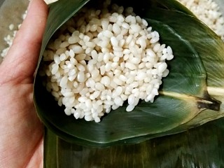 9、鲜肉粽子,在肉上面再加一层糯米，加糯米的量要留出距漏斗顶部叶边1指宽的距离。