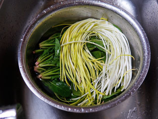 3、炒合菜,菠菜、蒜黄摘洗干净,淡盐水浸泡十分钟,再次冲洗干净